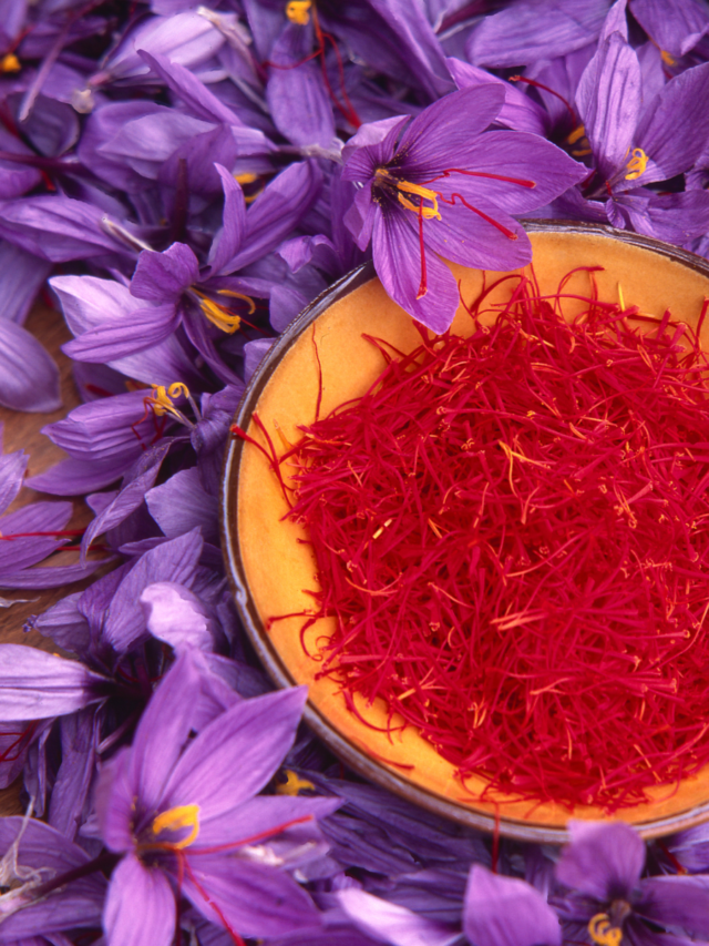आपके त्वचा के लिए कश्मीरी केसर के लाभ।